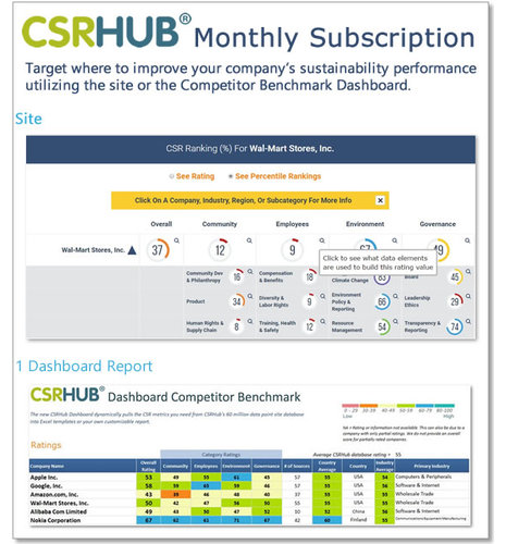 Monthly Site Access with Competitor Benchmark Dashboard